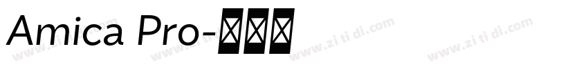 Amica Pro字体转换